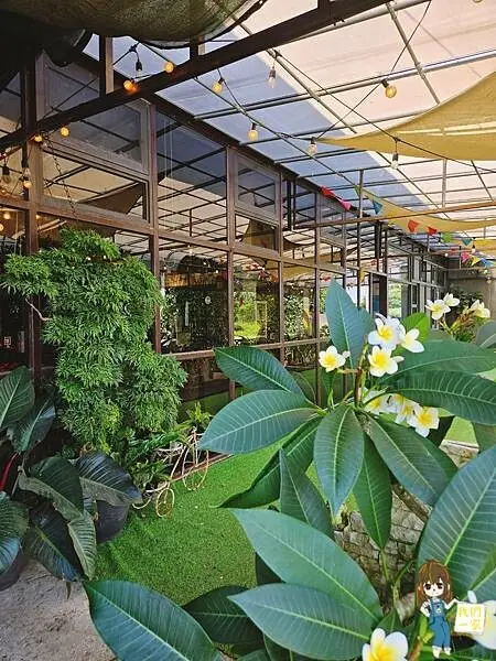 桃園觀音 拍出專屬於你的Zakka風照片/季風沙丘-老。樣子