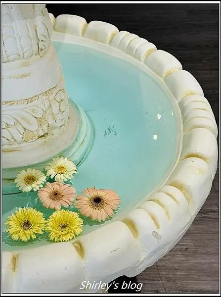 新北樹林 ‧ 杦窩 JIUWO