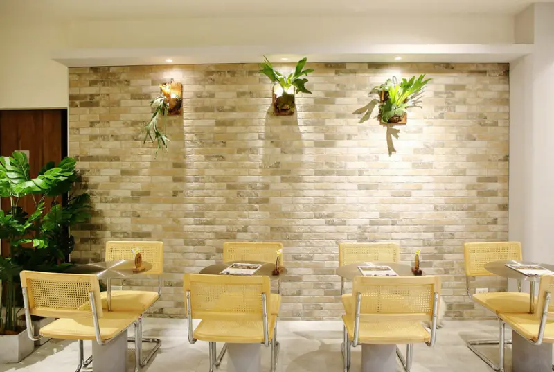 【新開幕】八德寵物友善餐廳推薦！三十好食，大湳森林公園附近，