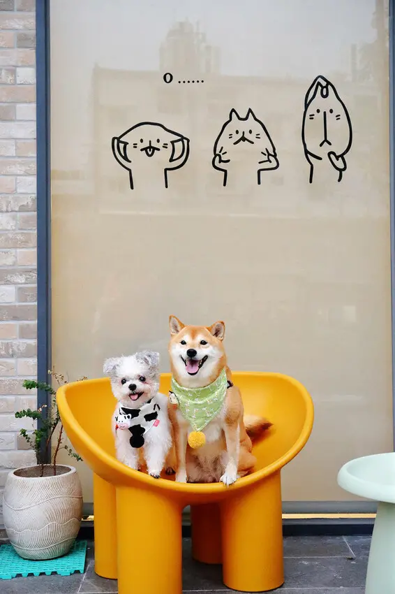 【新開幕】八德寵物友善餐廳推薦！三十好食，大湳森林公園附近，