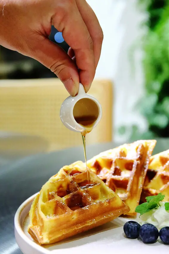 【新開幕】八德寵物友善餐廳推薦！三十好食，大湳森林公園附近，