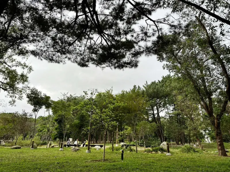 【新開幕】八德寵物友善餐廳推薦！三十好食，大湳森林公園附近，