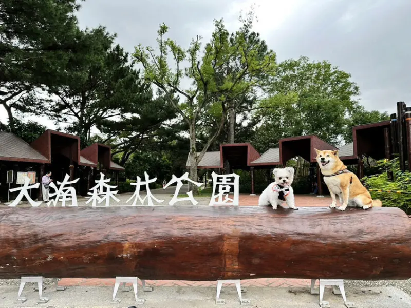 【新開幕】八德寵物友善餐廳推薦！三十好食，大湳森林公園附近，