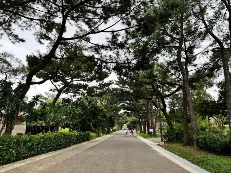 【新開幕】八德寵物友善餐廳推薦！三十好食，大湳森林公園附近，