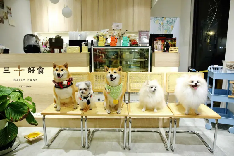 【新開幕】八德寵物友善餐廳推薦！三十好食，大湳森林公園附近，