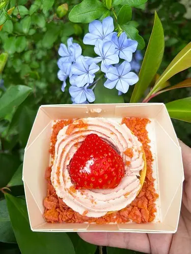 下午4.19 2025-1-24的影像