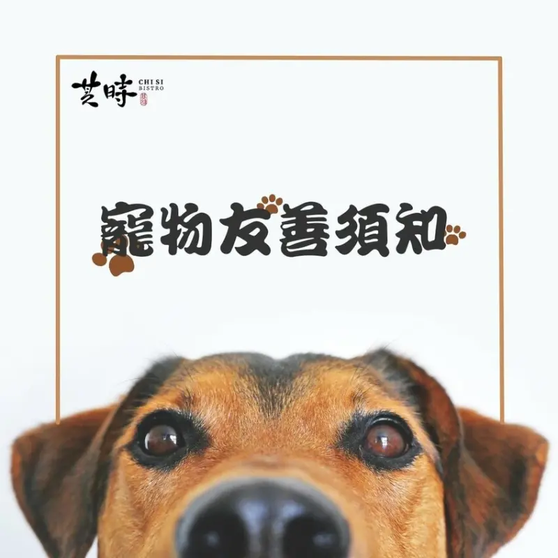 台北寵物友善餐廳｜其時Bistro〜台北草地寵物餐廳，有專屬