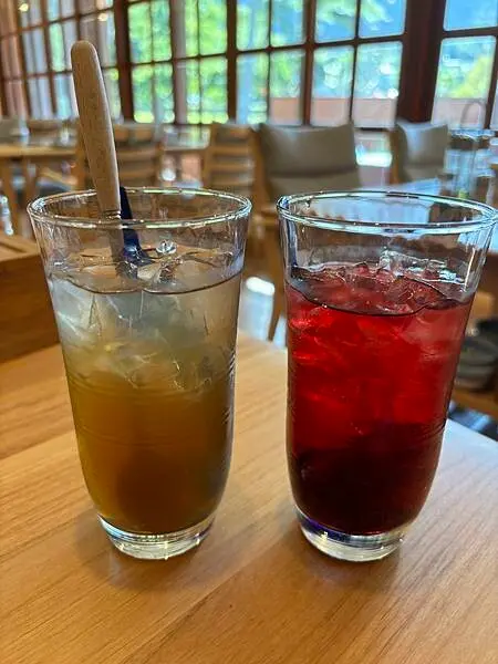 《桃園❤️復興》蕃薯藤羅浮溫泉會所