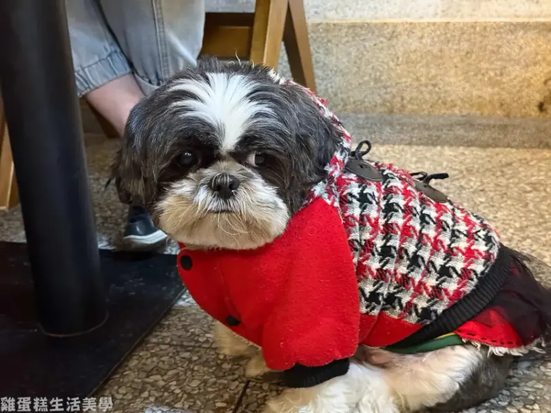 【新竹食記】升火1927老屋餐廳