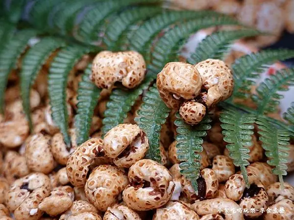 蹦穀物黑糖薏米花 (1).jpg