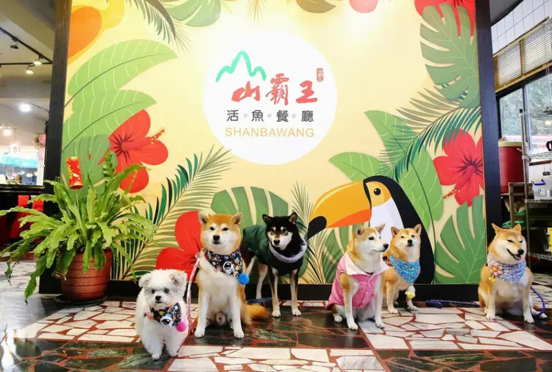 【石門活魚餐廳推薦】山霸王活魚餐廳，網友推薦30年老店，創意