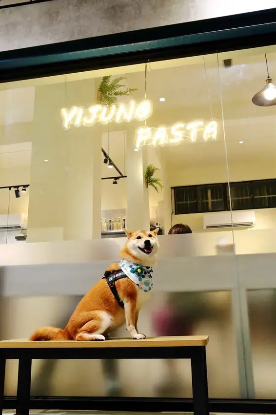 【幸福捷運站美食】新開幕！義匠義式湯麵-新莊昌明店，超級好吃