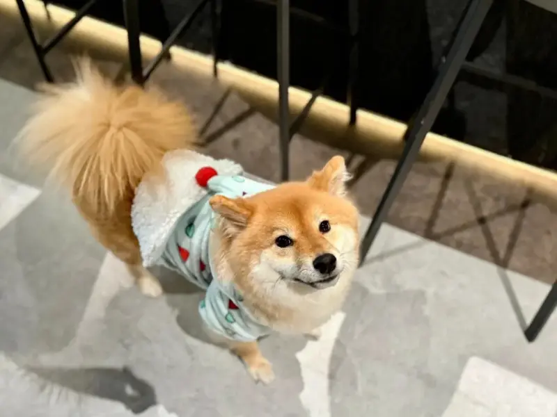 nowhere taipei 墨西哥餐酒館 (18).jpg