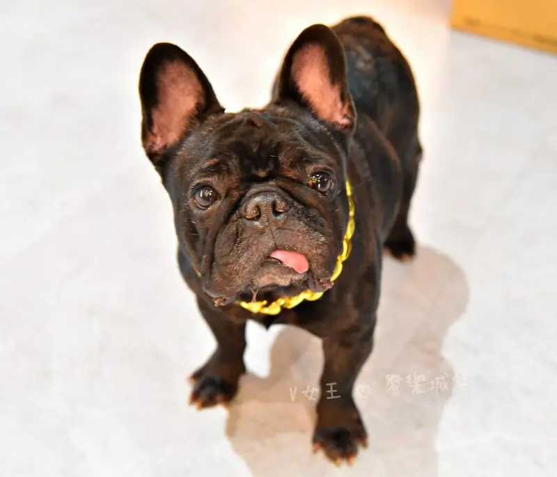 Nowhere Taipei 墨西哥餐酒館｜台北車站墨西哥料