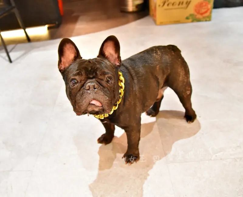 Nowhere Taipei 墨西哥餐酒館｜台北車站墨西哥料