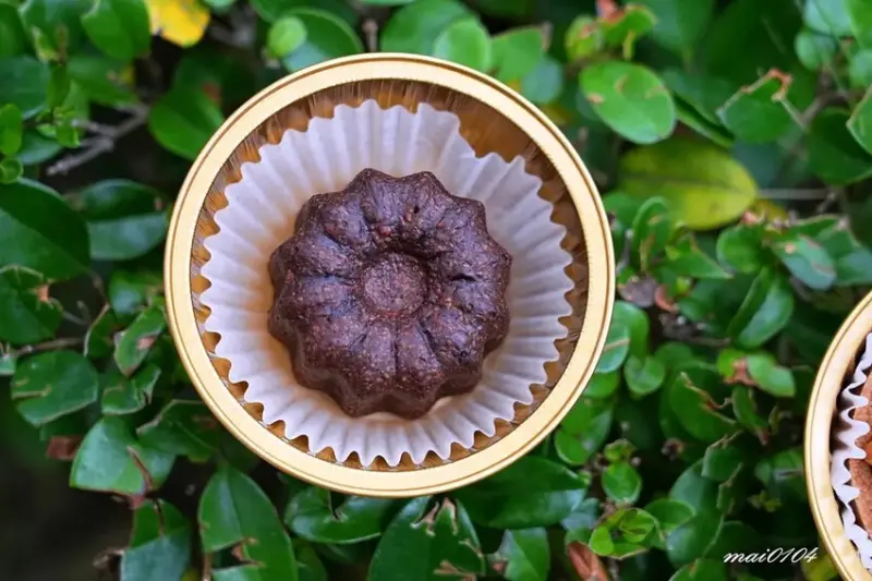 桃園手搖飲推薦｜星M輕奢時尚茶飲～加珍珠免費！現場提供多款飲