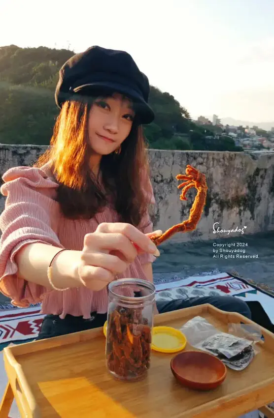 【團購年節禮盒開箱】陞煇食品評價 團購零食推薦 台灣豬肉乾禮