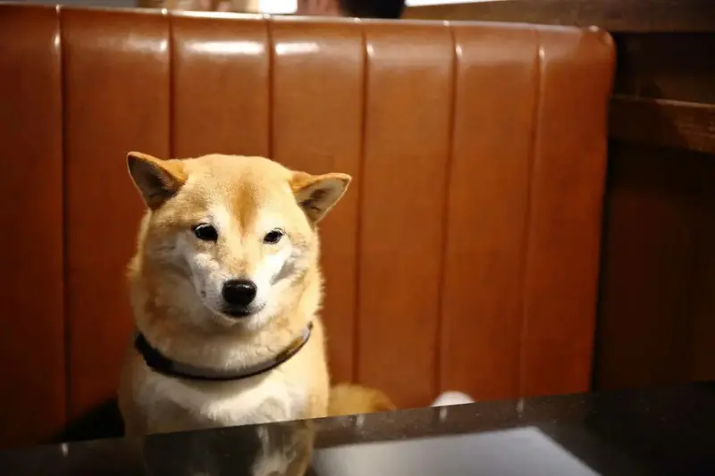 台中必訪！超夯特色燒肉店【燒肉滋滋】，韓式燒肉x韓式料理x韓