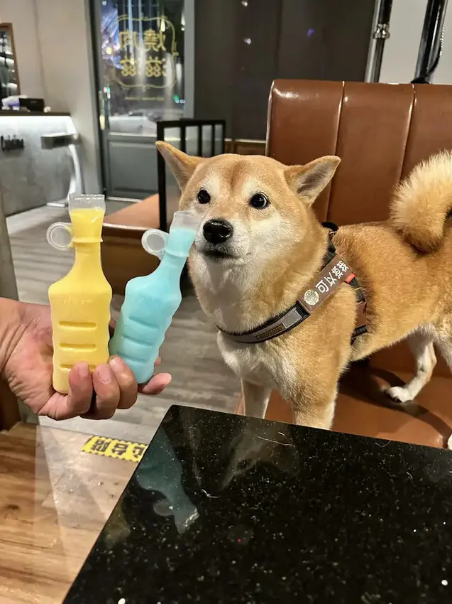 台中必訪！超夯特色燒肉店【燒肉滋滋】，韓式燒肉x韓式料理x韓