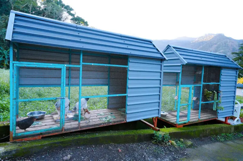 苗栗親子露營「一畝稻田露營區 」，免費搗麻糬、DIY棉花糖，