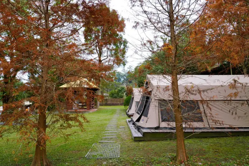 苗栗親子露營「一畝稻田露營區 」，免費搗麻糬、DIY棉花糖，