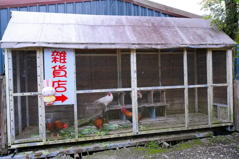 苗栗親子露營「一畝稻田露營區 」，免費搗麻糬、DIY棉花糖，