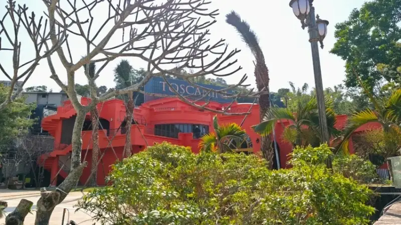 北屯全新義式餐廳打造浪漫用餐空間 開啟大坑區新美食熱點｜托斯