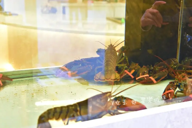 明水然。樂 宜蘭礁溪店｜宜蘭美食必探高CP值無菜單鐵板燒，人