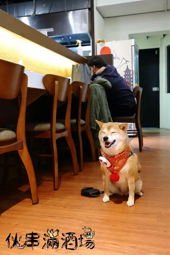 伙串滿酒場，中壢火車站旁串燒店，體驗道地串燒酒場文化，喝得痛