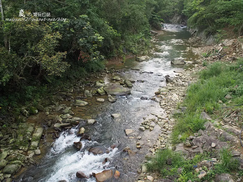 新北坪林│山林溪水秘境賞螢 金瓜寮溪→九芎根