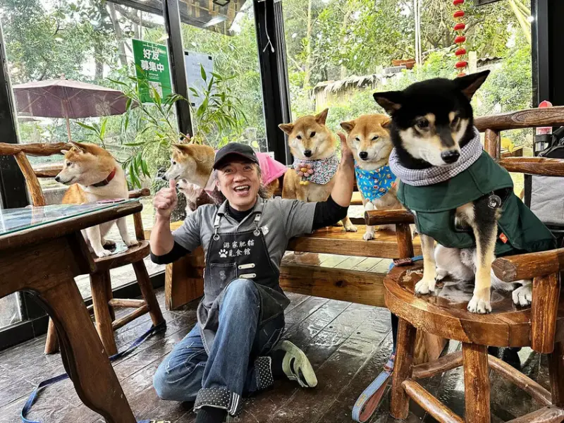 游家肥貓，大溪友善寵物老宅茶餐廳，提供港式私房料理，老闆本身