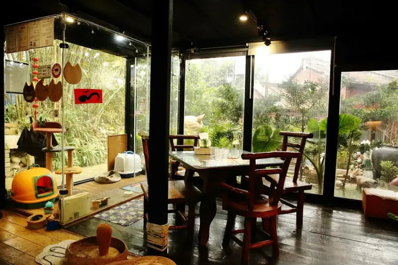 游家肥貓，大溪友善寵物老宅茶餐廳，提供港式私房料理，老闆本身