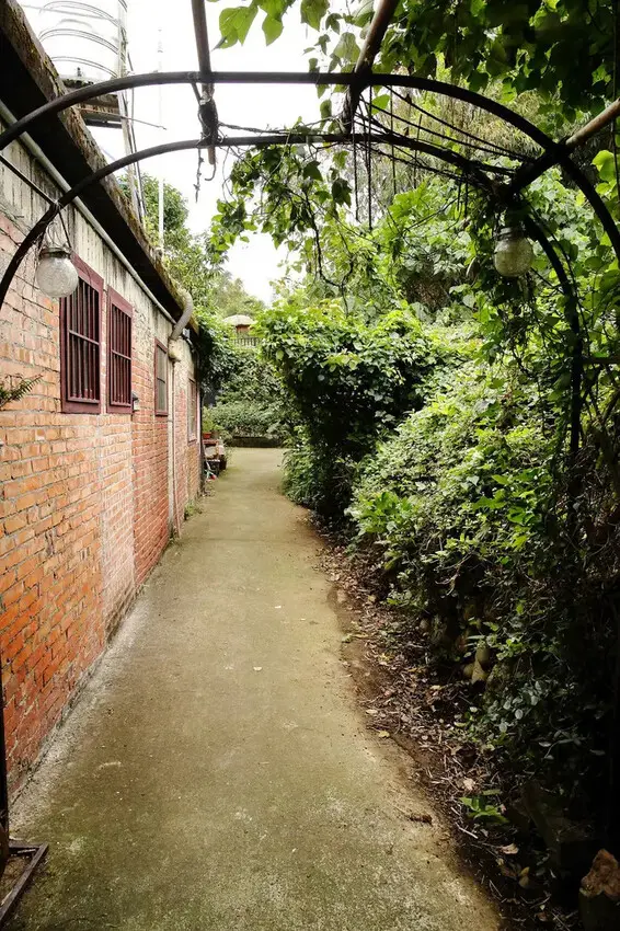 游家肥貓，大溪友善寵物老宅茶餐廳，提供港式私房料理，老闆本身