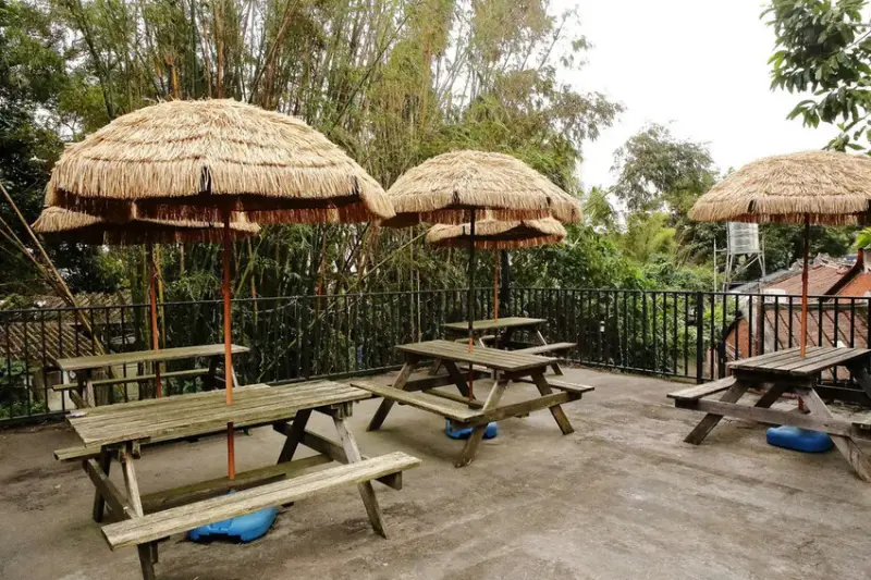 游家肥貓，大溪友善寵物老宅茶餐廳，提供港式私房料理，老闆本身