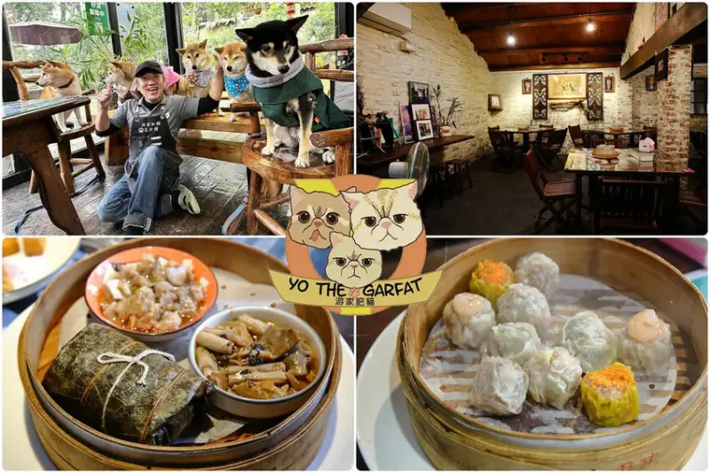 游家肥貓，大溪友善寵物老宅茶餐廳，提供港式私房料理，老闆本身