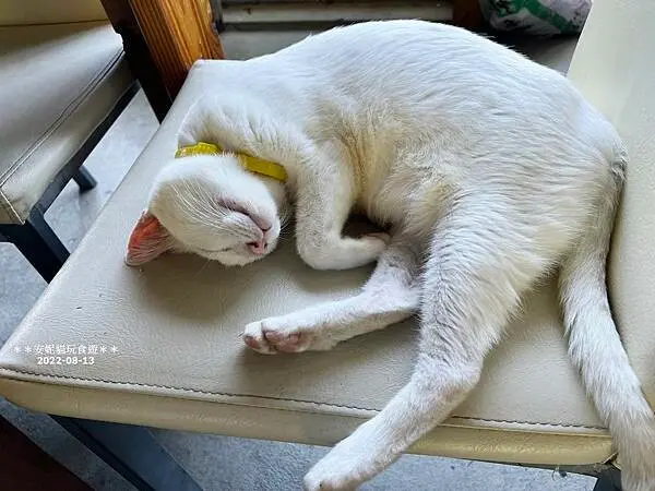 【2022台東蘭嶼夏之旅】看海看夕陽看星星看月亮．沿海假期民