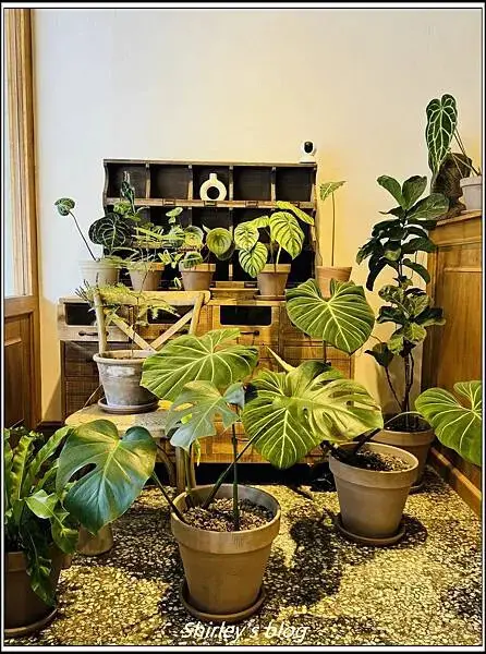 新北淡水 ‧ VIP ICE 貴賓冰室(冰品/豆花)