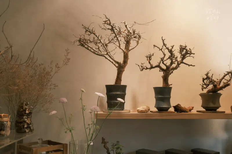 台中西區｜隱身精誠商圈巷內滿餡生甜甜圈，開心果、草莓超誘人｜