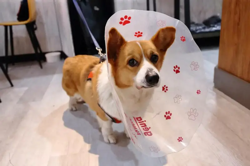 早安好食光x嘟比飯麵館，新店終於有很好吃的早午餐了！超強炒泡