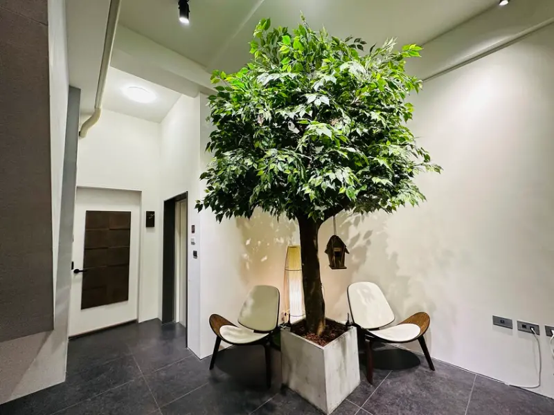 【安平胡桃民宿】台南安平包棟民宿推薦！帶你體驗獨特景觀泡腳池