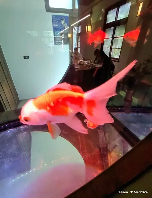 「玉虫畫室 tama.atelier｣(Coffee shop, liberary and painting studio three in one complex houe)， Nangang, Taipei, Mar 31, 2024, SJKen.