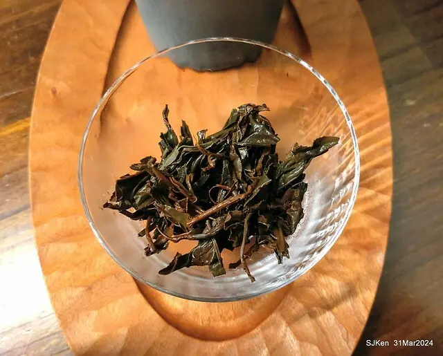 「玉虫畫室 tama.atelier｣(Coffee shop, liberary and painting studio three in one complex houe)， Nangang, Taipei, Mar 31, 2024, SJKen.