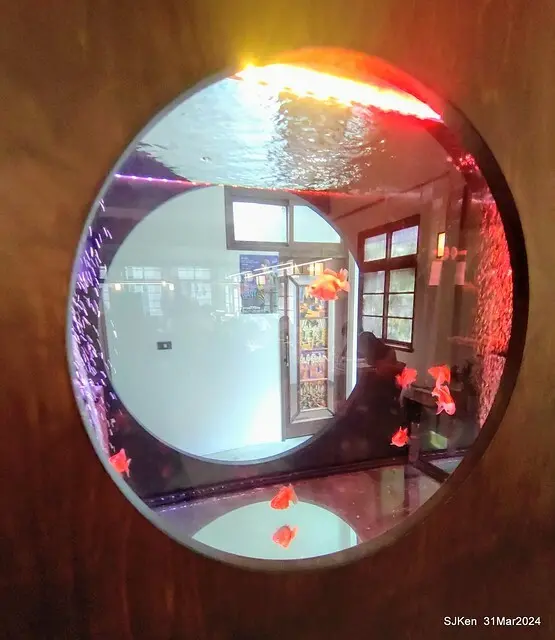 「玉虫畫室 tama.atelier｣(Coffee shop, liberary and painting studio three in one complex houe)， Nangang, Taipei, Mar 31, 2024, SJKen.