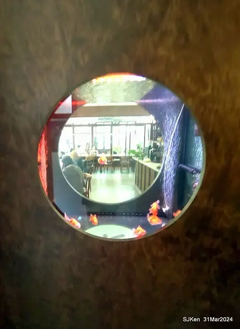 「玉虫畫室 tama.atelier｣(Coffee shop, liberary and painting studio three in one complex houe)， Nangang, Taipei, Mar 31, 2024, SJKen.