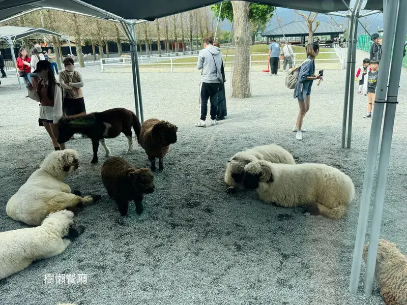 ★張美阿嬤農場2.0★結合親子農場與網美餐廳【樹懶餐廳】，用