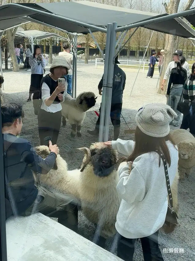 ★張美阿嬤農場2.0★結合親子農場與網美餐廳【樹懶餐廳】，用