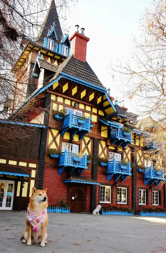 霍爾的移動城堡在埔里，藍色城堡X茱諾法式甜點，埔里超人氣甜點