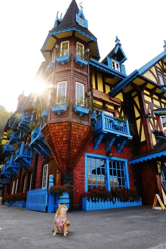 霍爾的移動城堡在埔里，藍色城堡X茱諾法式甜點，埔里超人氣甜點