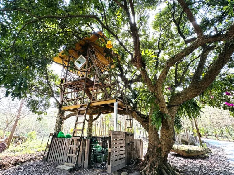 【築夢森居】嘉義親子旅行必訪！野奢豪華露營車開箱，超多元體驗