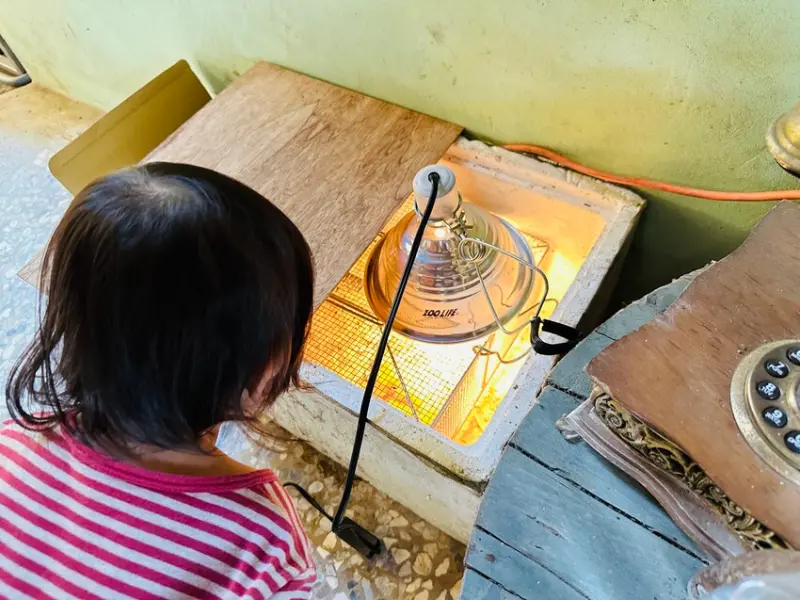 【築夢森居】嘉義親子旅行必訪！野奢豪華露營車開箱，超多元體驗
